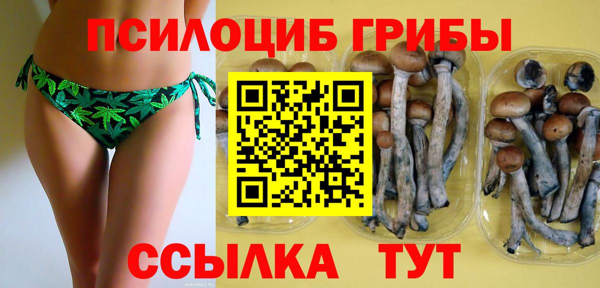Галлюциногенные грибы Magic Shrooms Ефремов